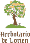 Avada Vegan Store Logo